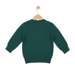 Green sweater on a wooden hanger against a white background