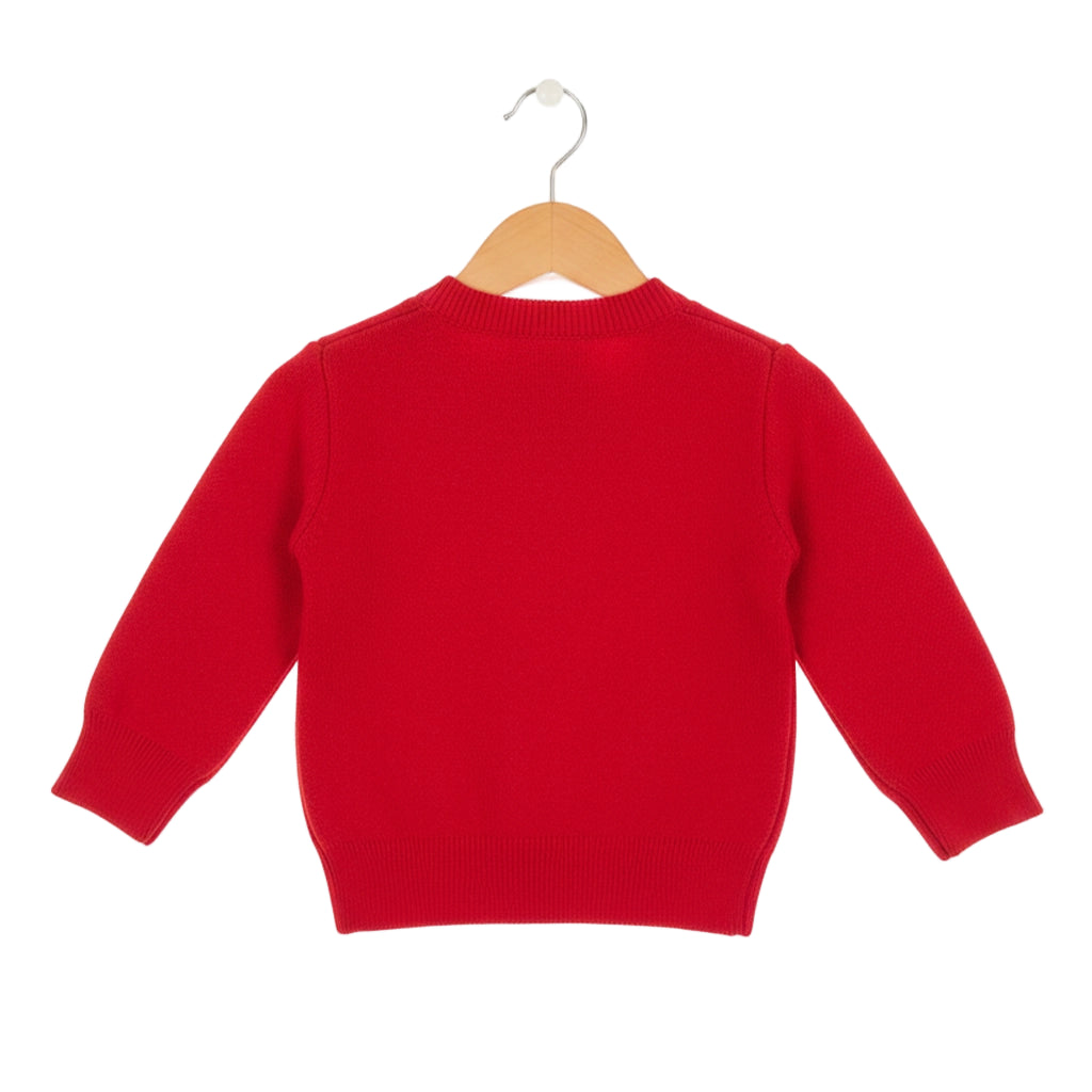 Red sweater on a wooden hanger against a white background