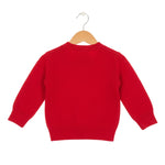 Red sweater on a wooden hanger against a white background