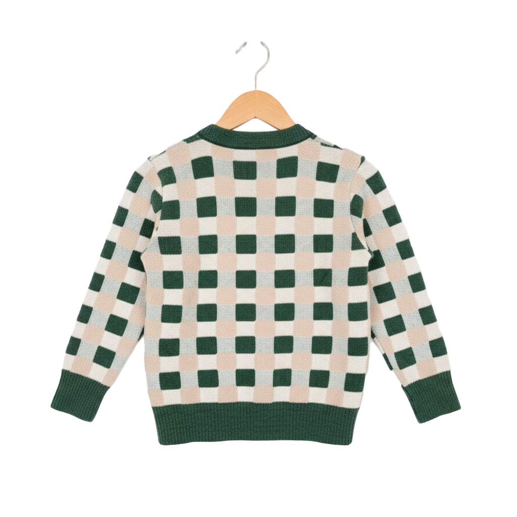 Green and beige checkered sweater on a hanger against a white background