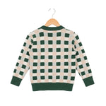 Green and beige checkered sweater on a hanger against a white background