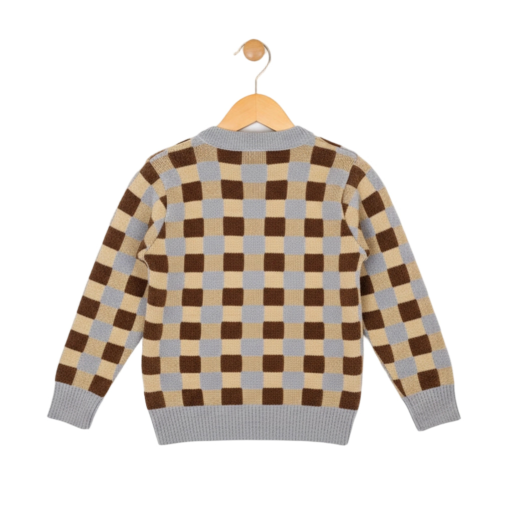 Checkered sweater on a hanger against a white background
