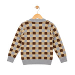 Checkered sweater on a hanger against a white background