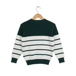 Striped sweater with green and white colors on a hanger against a white background