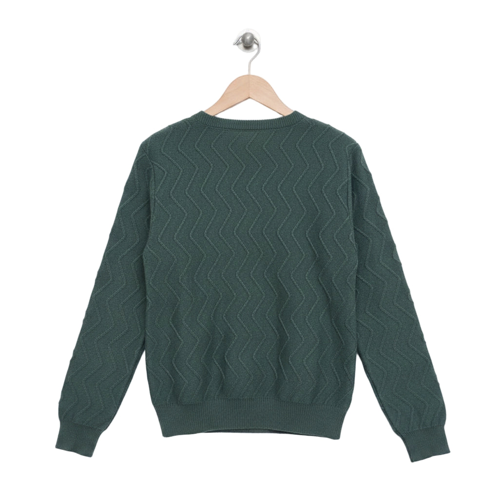 Green sweater on a wooden hanger against a white background