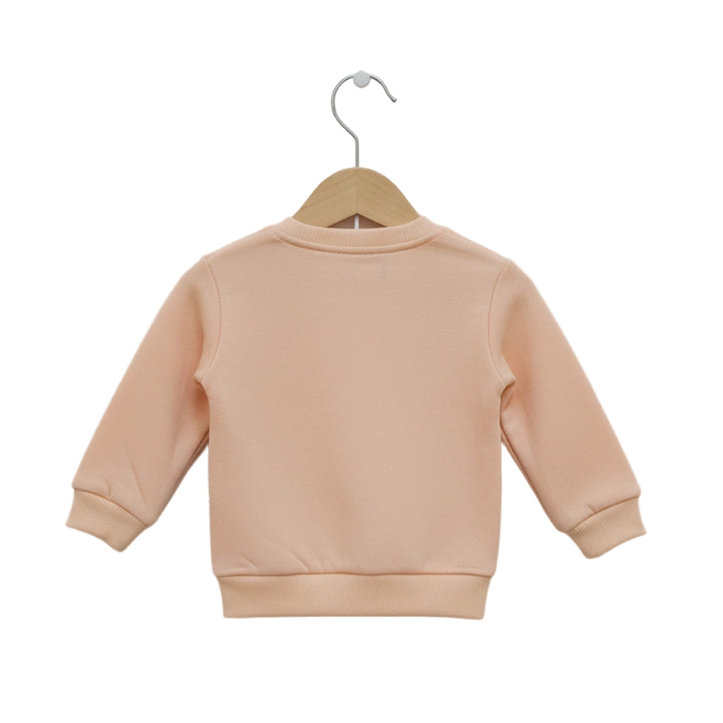 Pink sweatshirt on a hanger against a white background