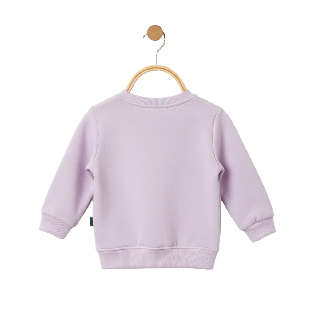 Lavender sweatshirt on a wooden hanger against a white background