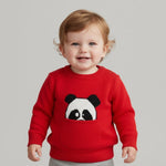 Peek-a-Boo Panda Pullover | Ages 6M-24M