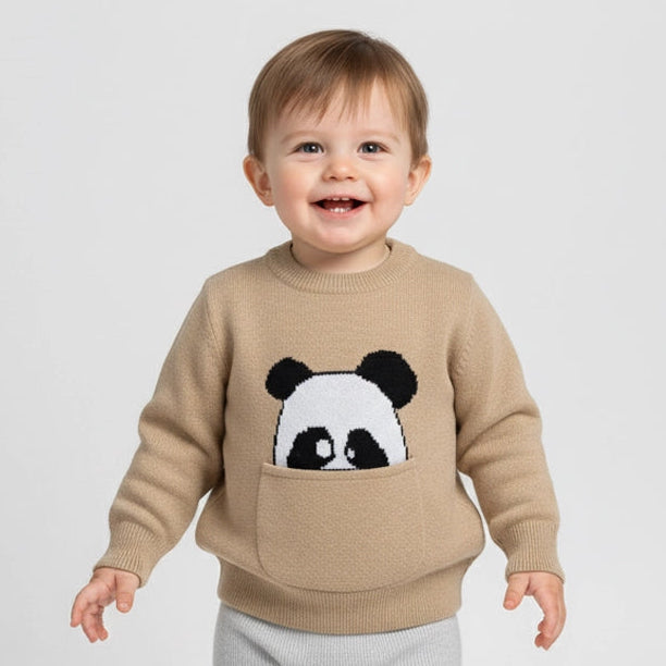Peek-a-Boo Panda Pullover | Ages 6M-24M