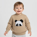 Peek-a-Boo Panda Pullover | Ages 6M-24M