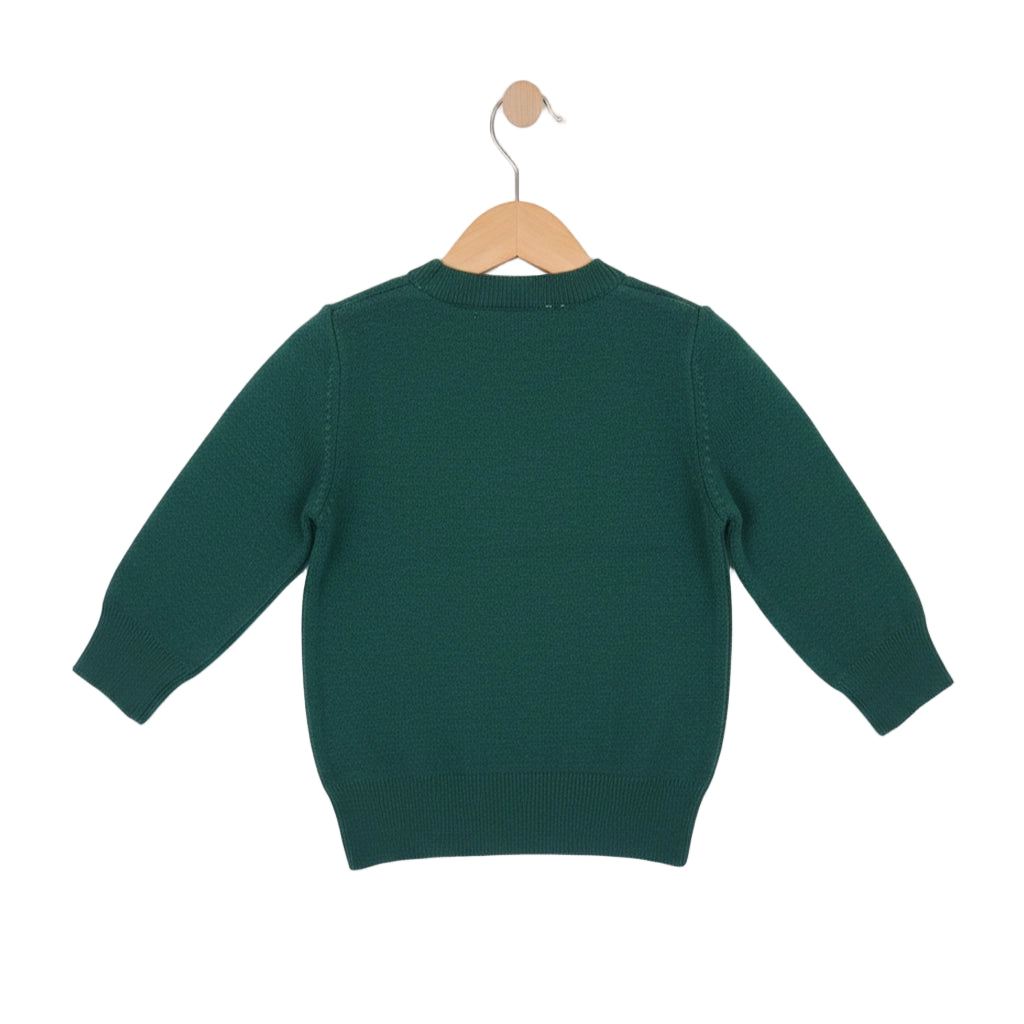 Green sweater on a wooden hanger against a white background