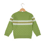 Green sweater with white pattern on a wooden hanger against a light gray background