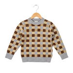 Checkered sweater on a wooden hanger against a white background