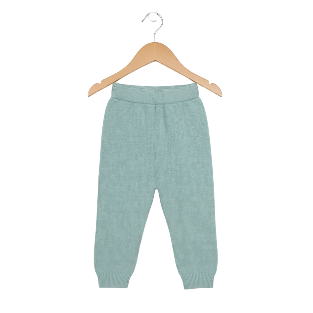 Light green baby pants on a wooden hanger against a white background