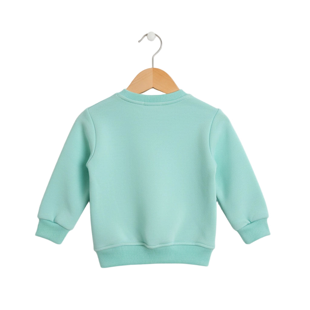 Light blue sweatshirt on a wooden hanger against a white background