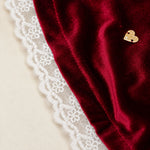 Velvet Lace Dress