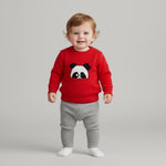 Peek-a-Boo Panda Pullover | Ages 6M-24M